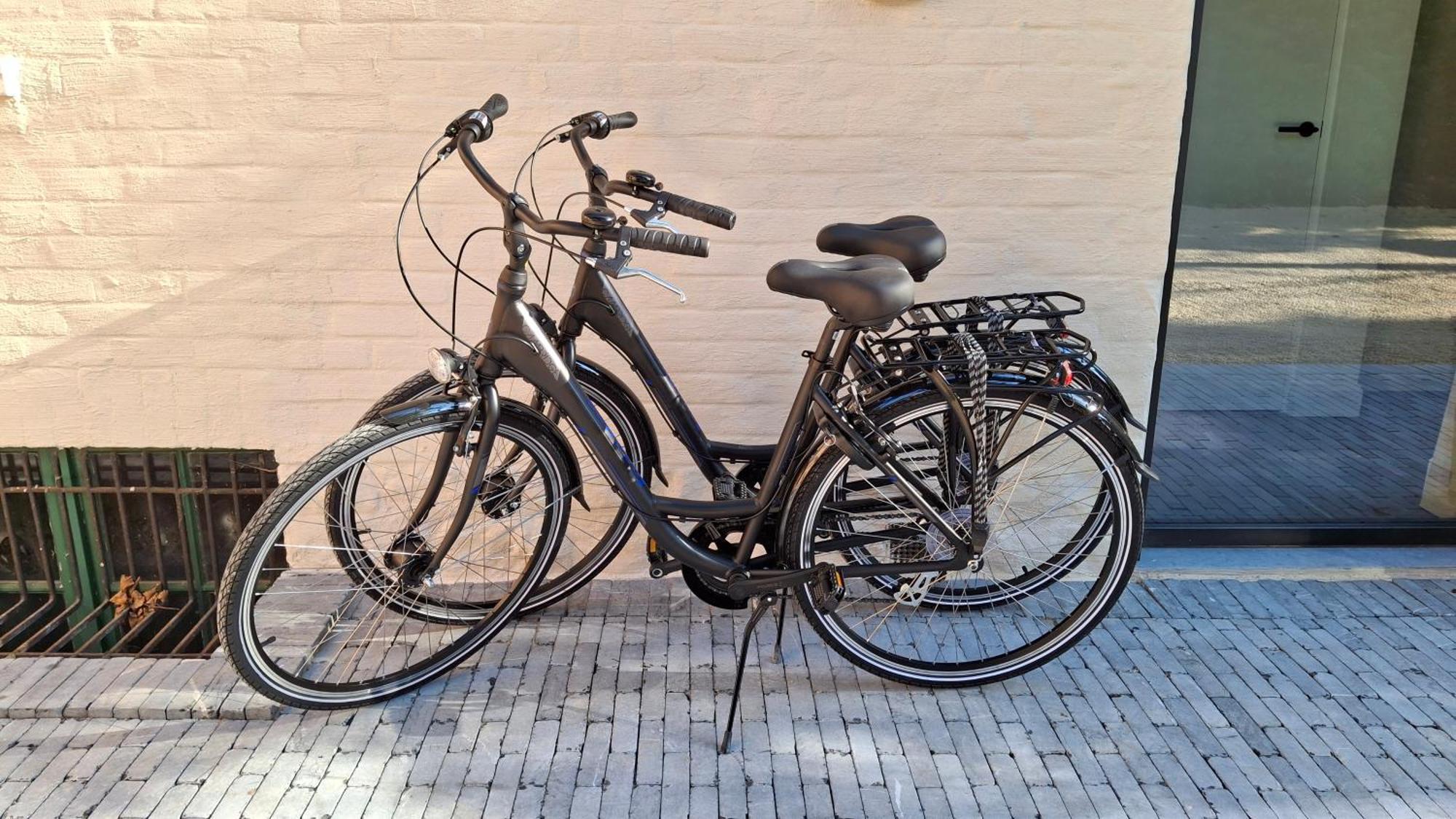 Prive In Groene Omgeving Gratis Fietsen & Parkeerplaats Gasthuis *