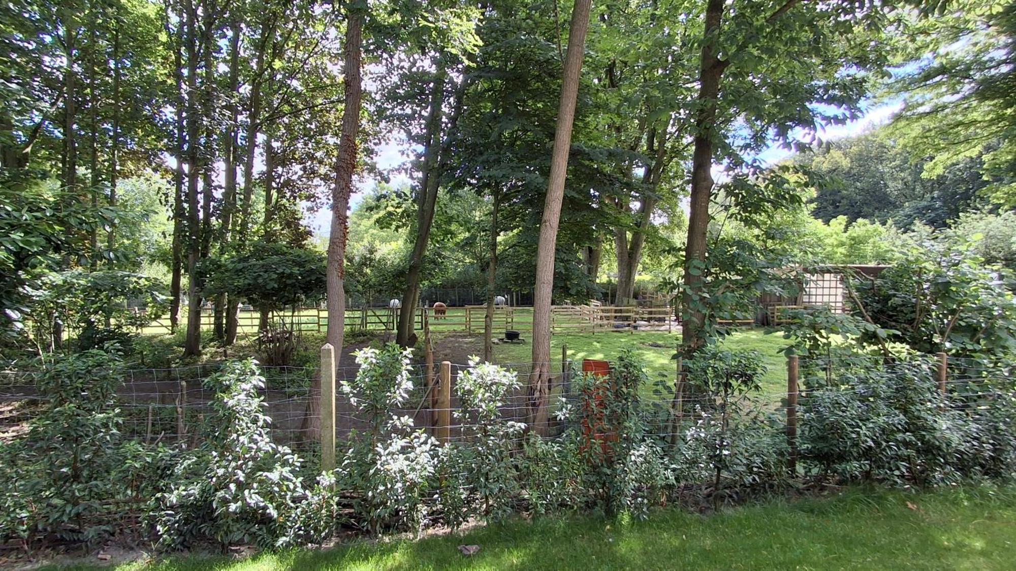 Prive In Groene Omgeving Gratis Fietsen & Parkeerplaats Gasthuis